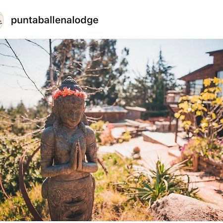 Punta Ballena Lodge Пичилему Екстериор снимка
